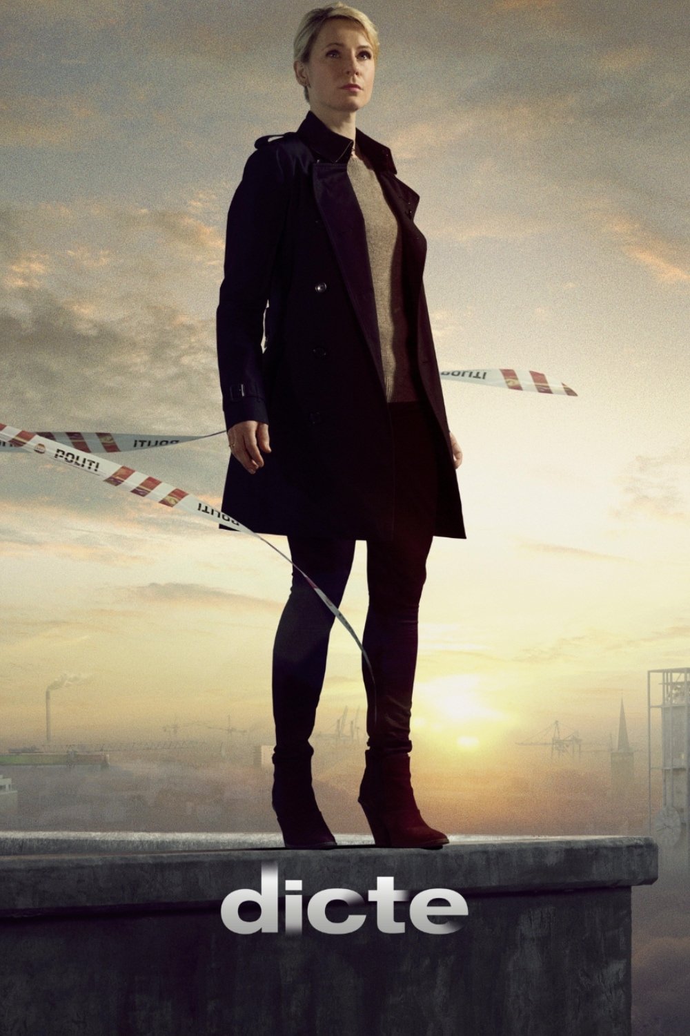 Dicte poster