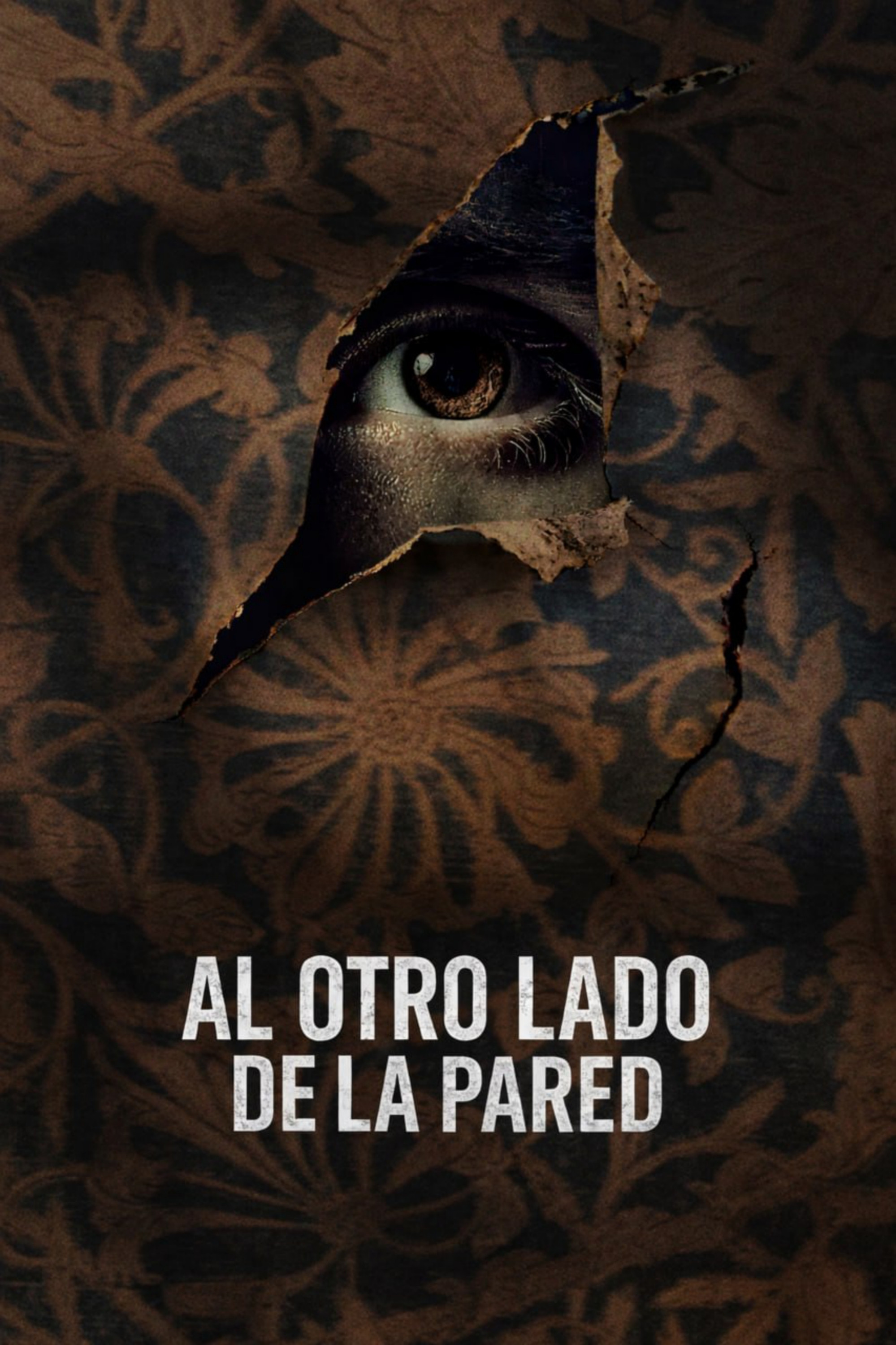Boy in the Walls poster