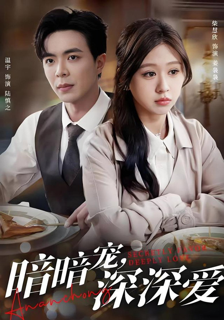 暗暗宠,深深爱 poster