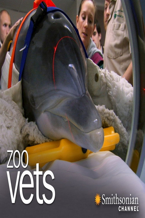 Zoo Vets poster