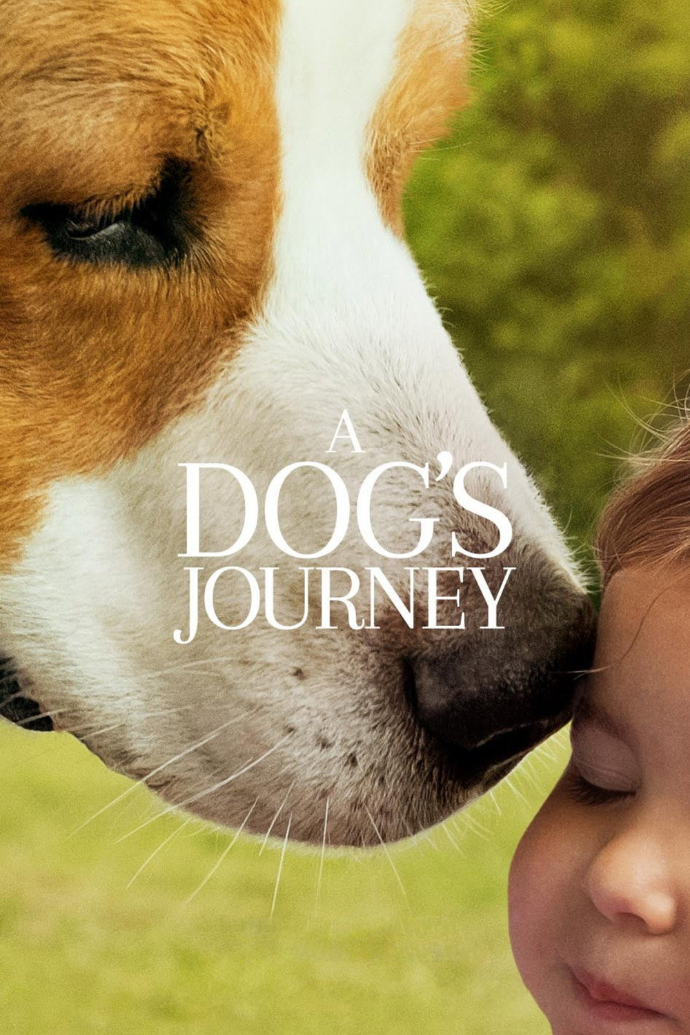 A Dog's Journey poster
