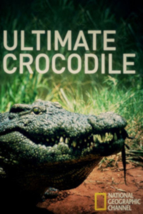The Ultimate Crocodile poster