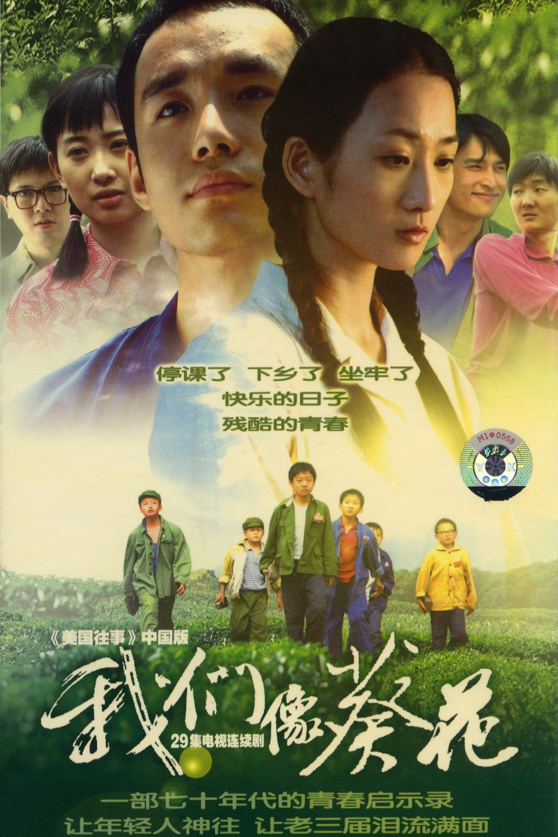 我们像葵花 poster