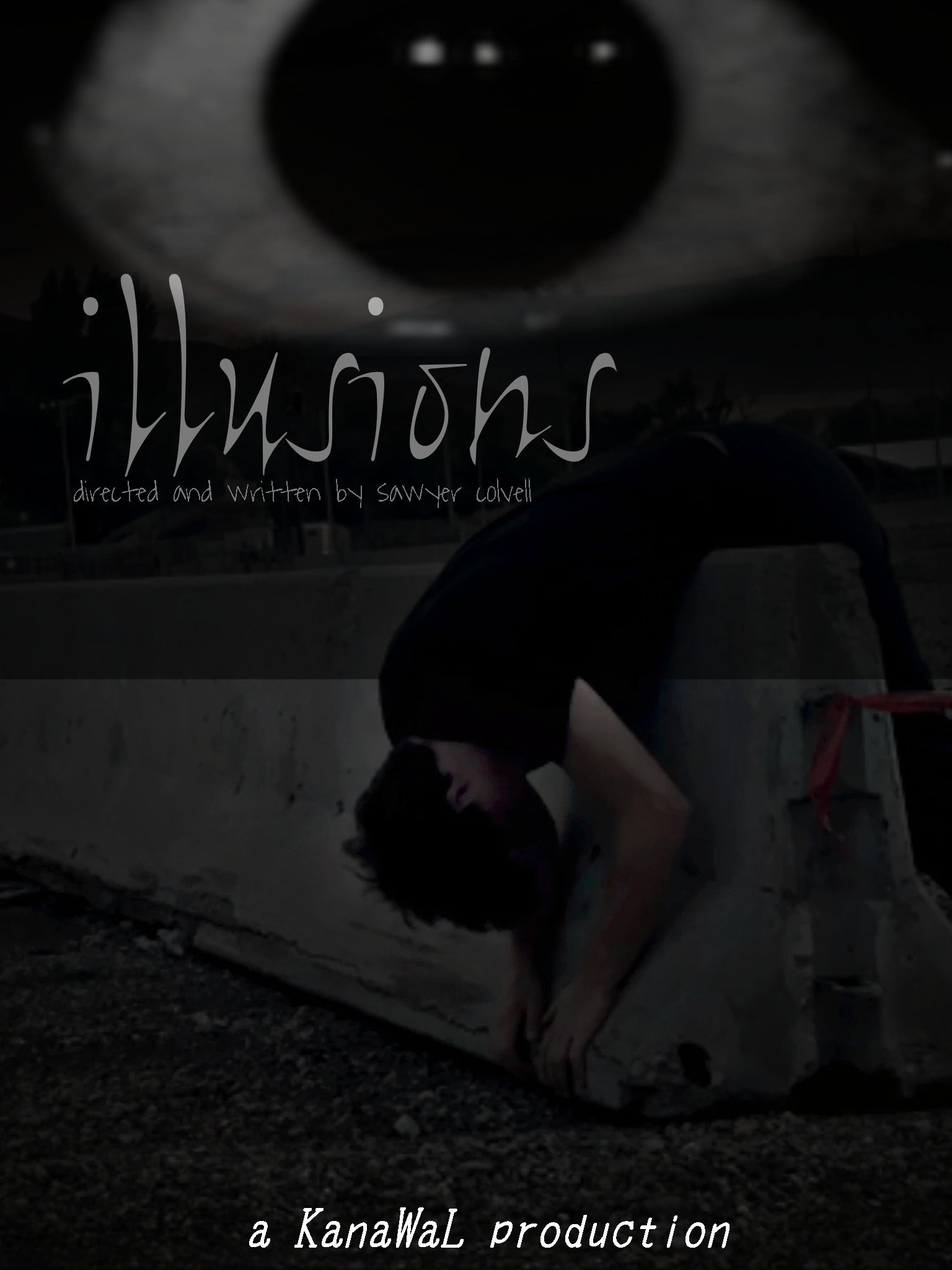 illusions poster