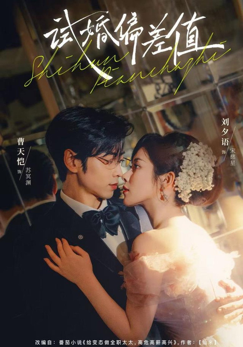 试婚偏差值 poster