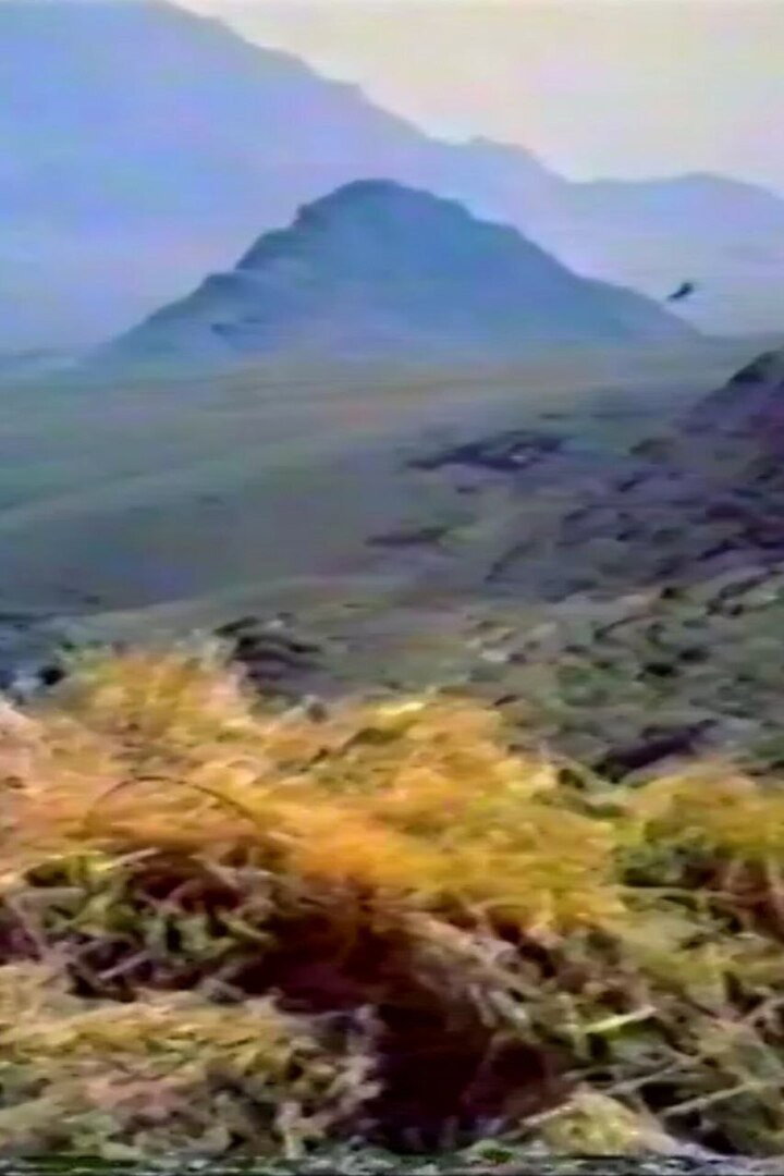 Think of the Kind Mountain poster