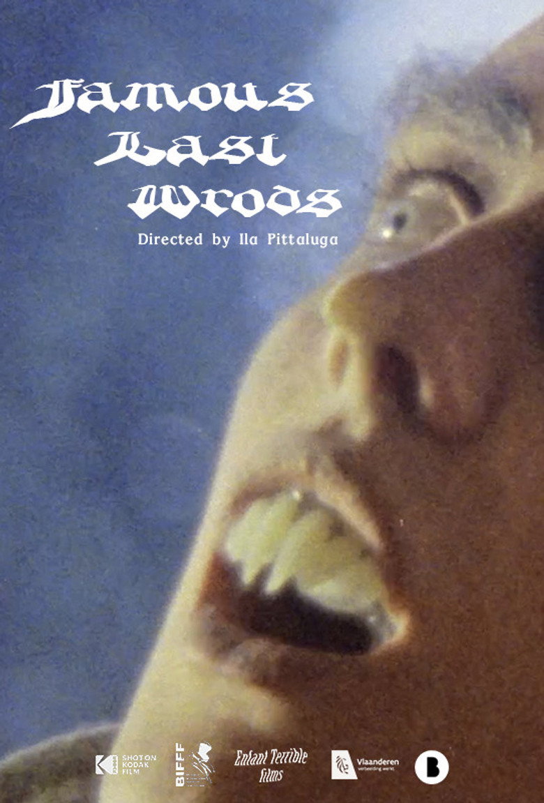 Famous Last Words poster