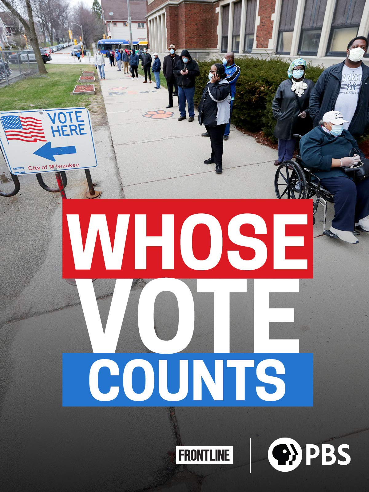 Whose Vote Counts poster