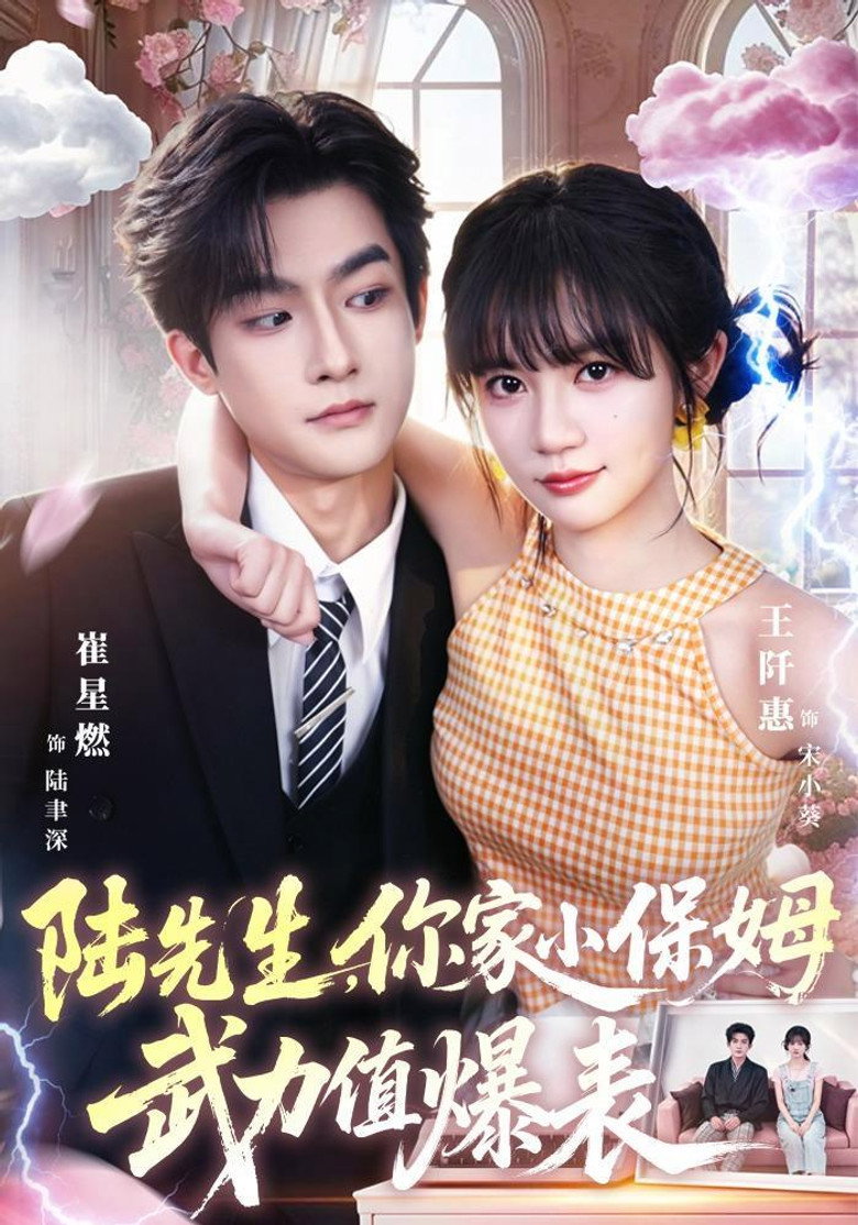 陆先生,你家小保姆武力值爆表 poster