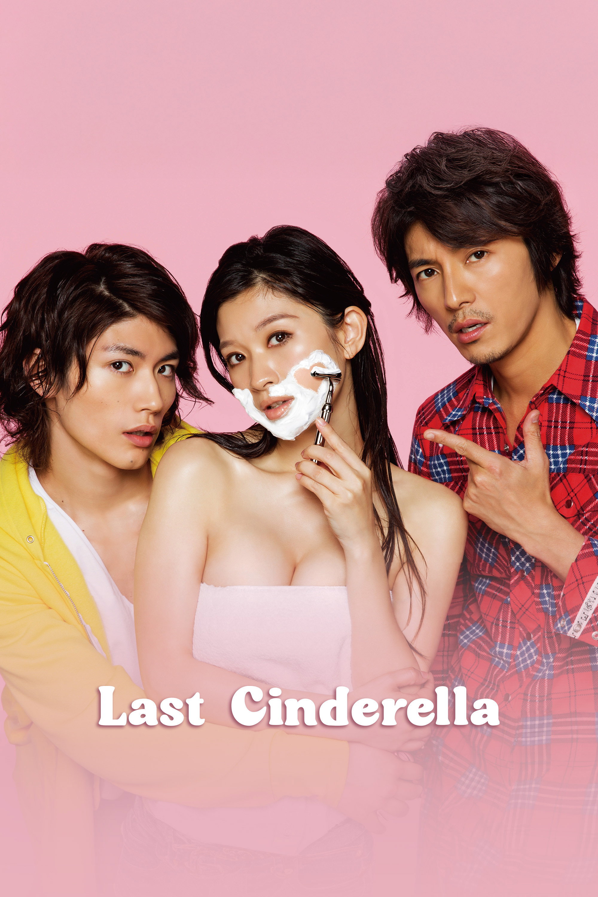 The Last Cinderella poster