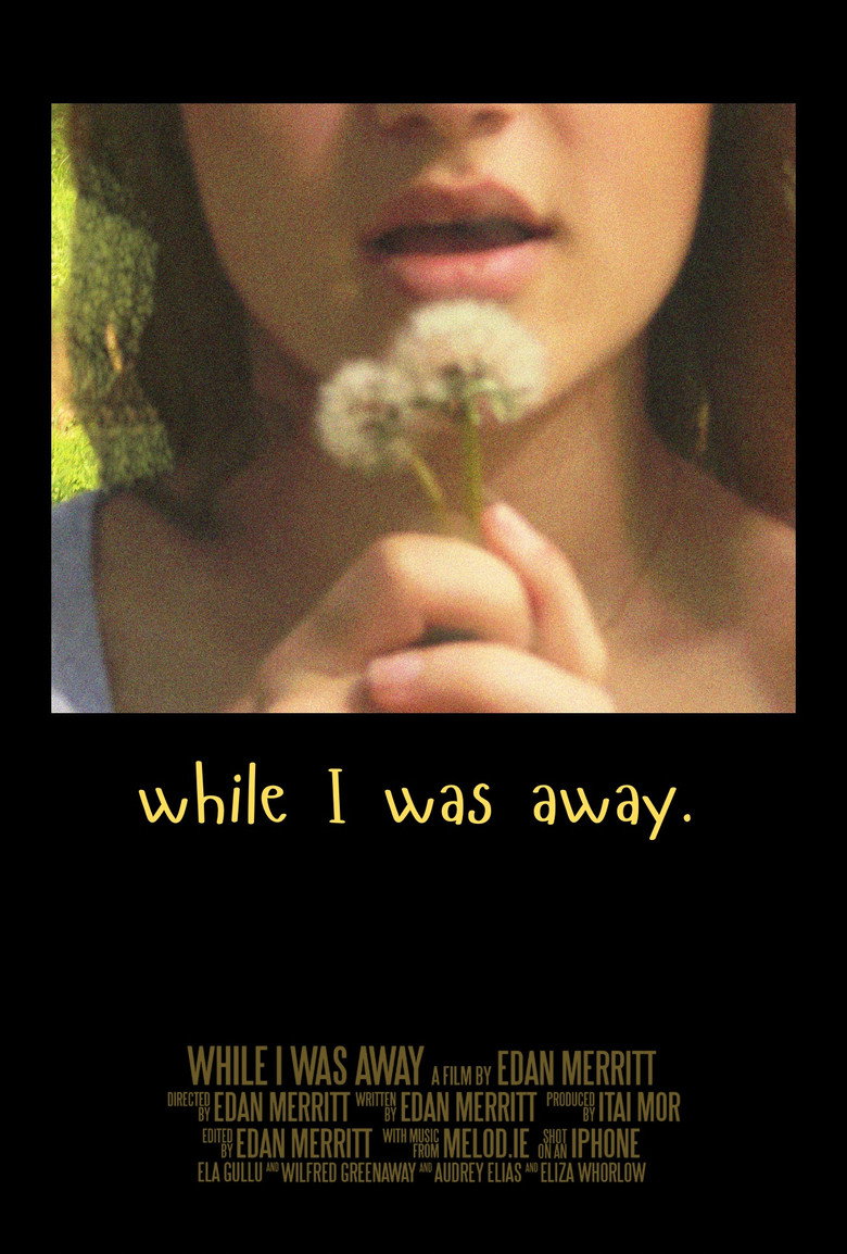 while I was away poster