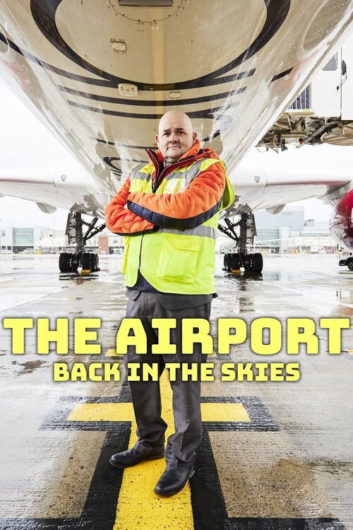 The Airport: Back in the Skies poster
