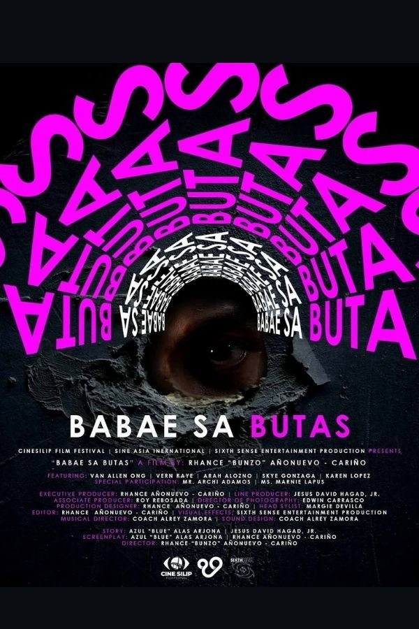 The Woman In The Hole poster