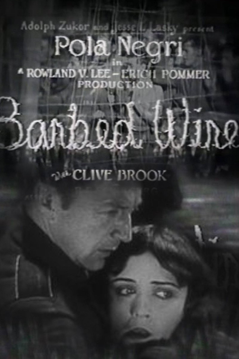 Barbed Wire poster