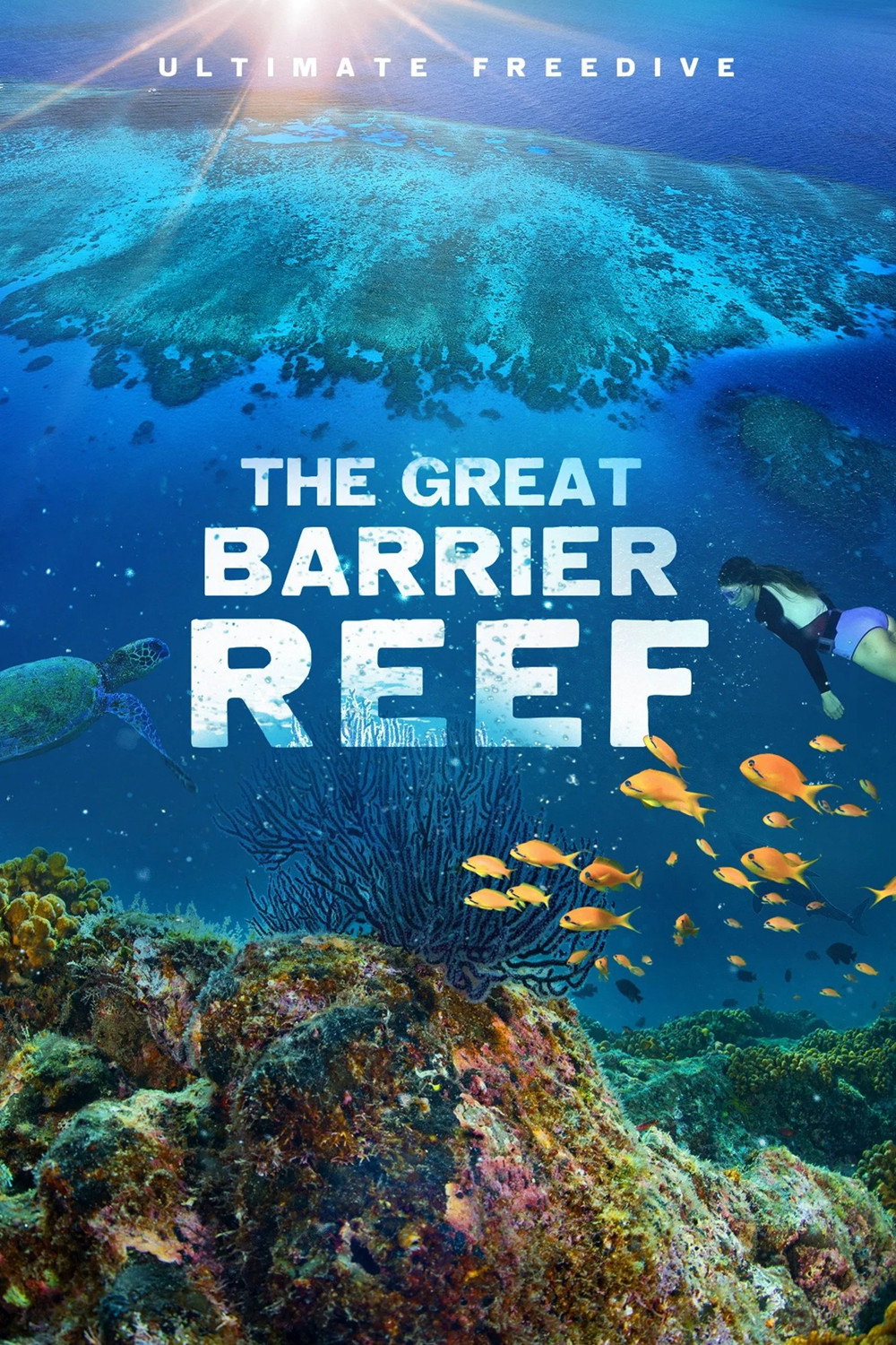 The Great Barrier Reef poster