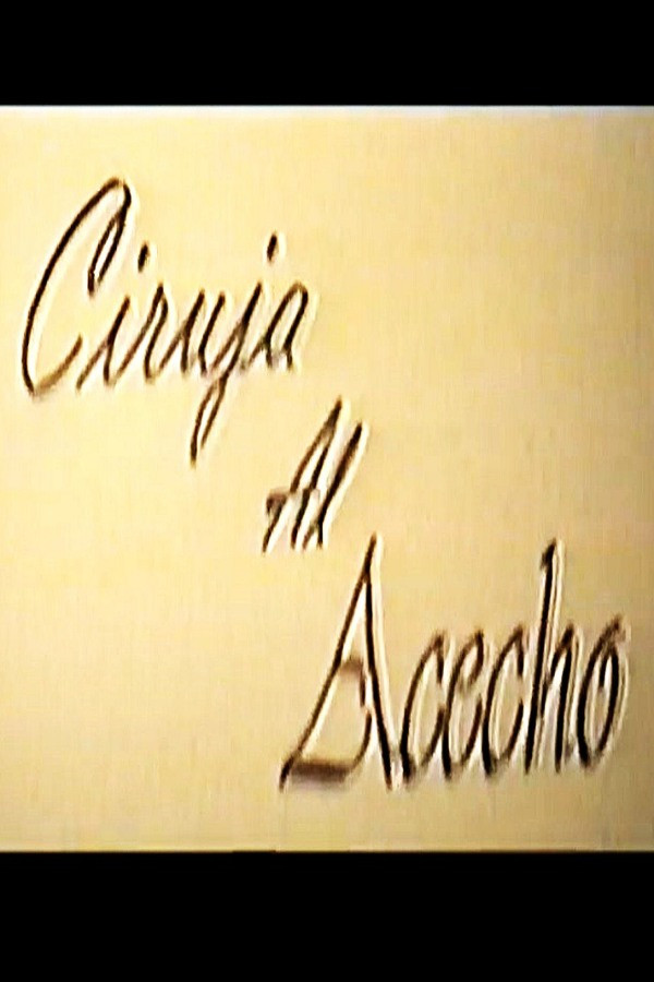 Ciruja al acecho poster