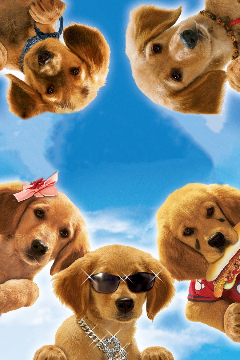 Air Buddies poster