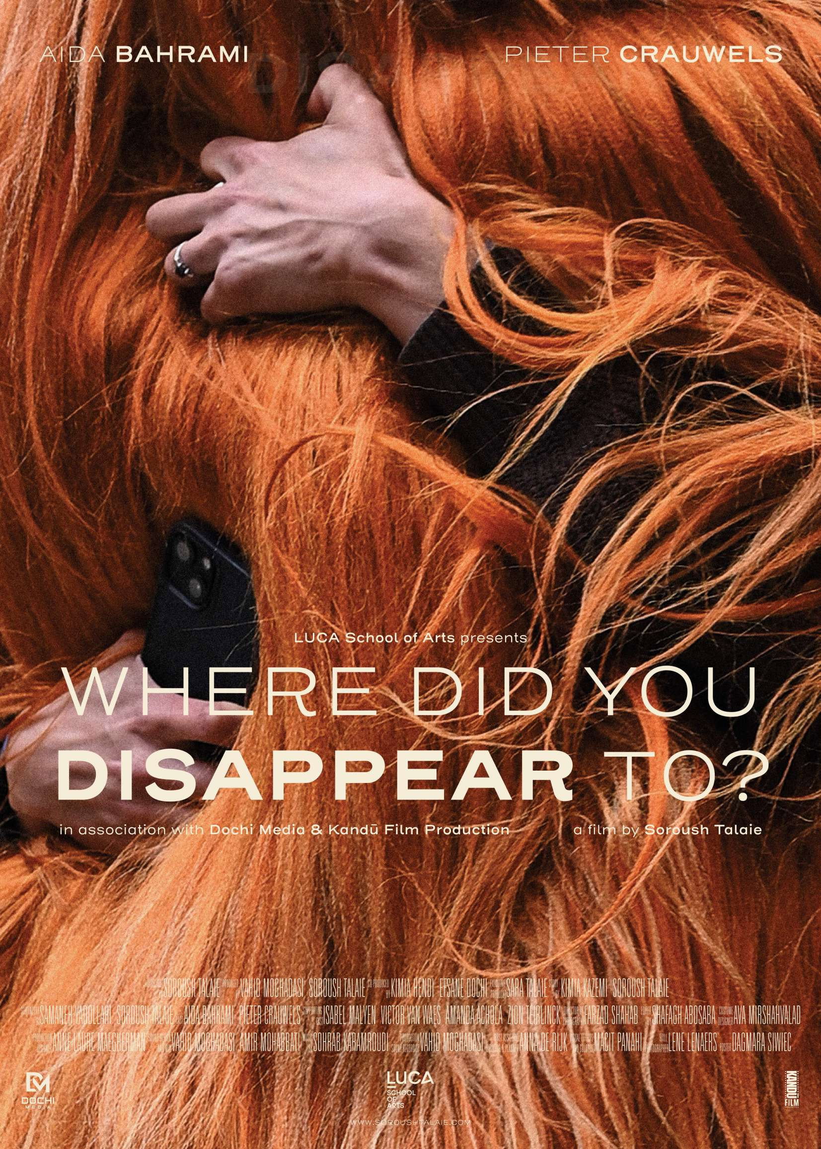 Where Did You Disappear to? poster