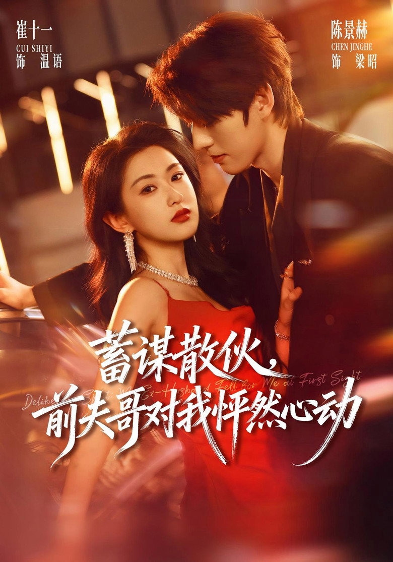 蓄谋散伙,前夫哥对我怦然心动 poster
