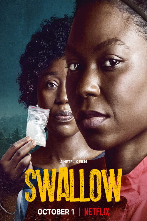 Swallow poster