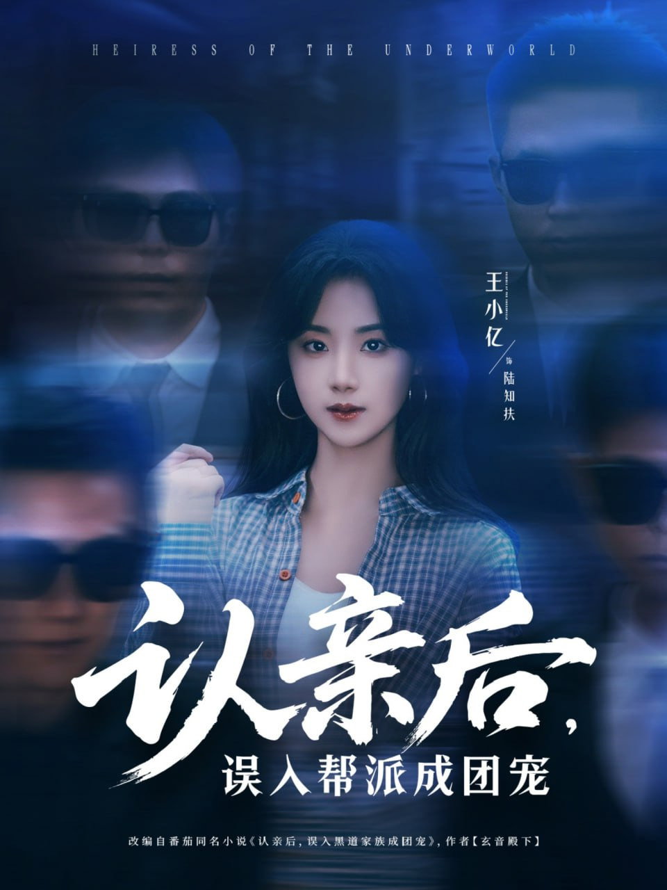 认亲后,误入帮派成团宠 poster