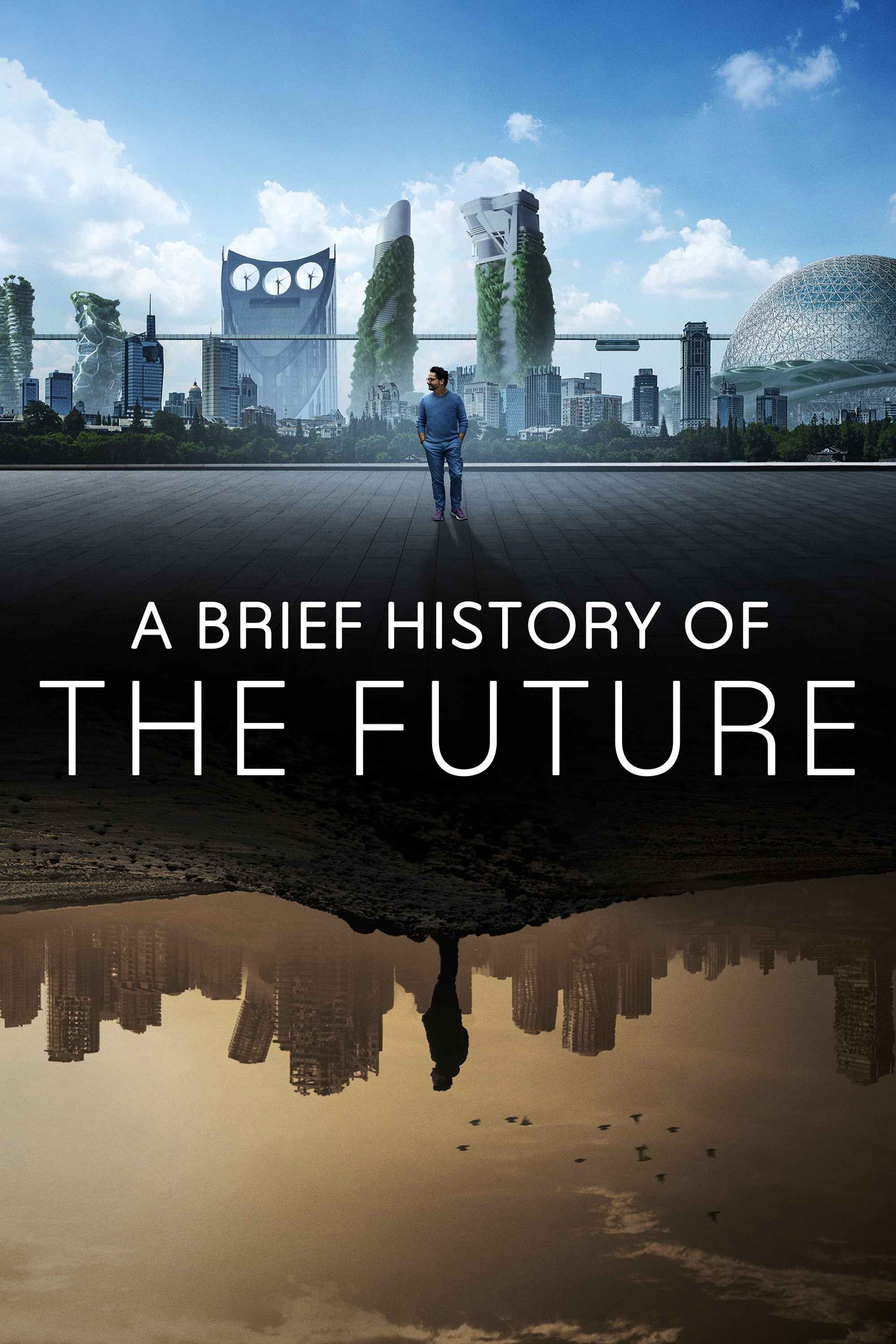 A Brief History of the Future poster
