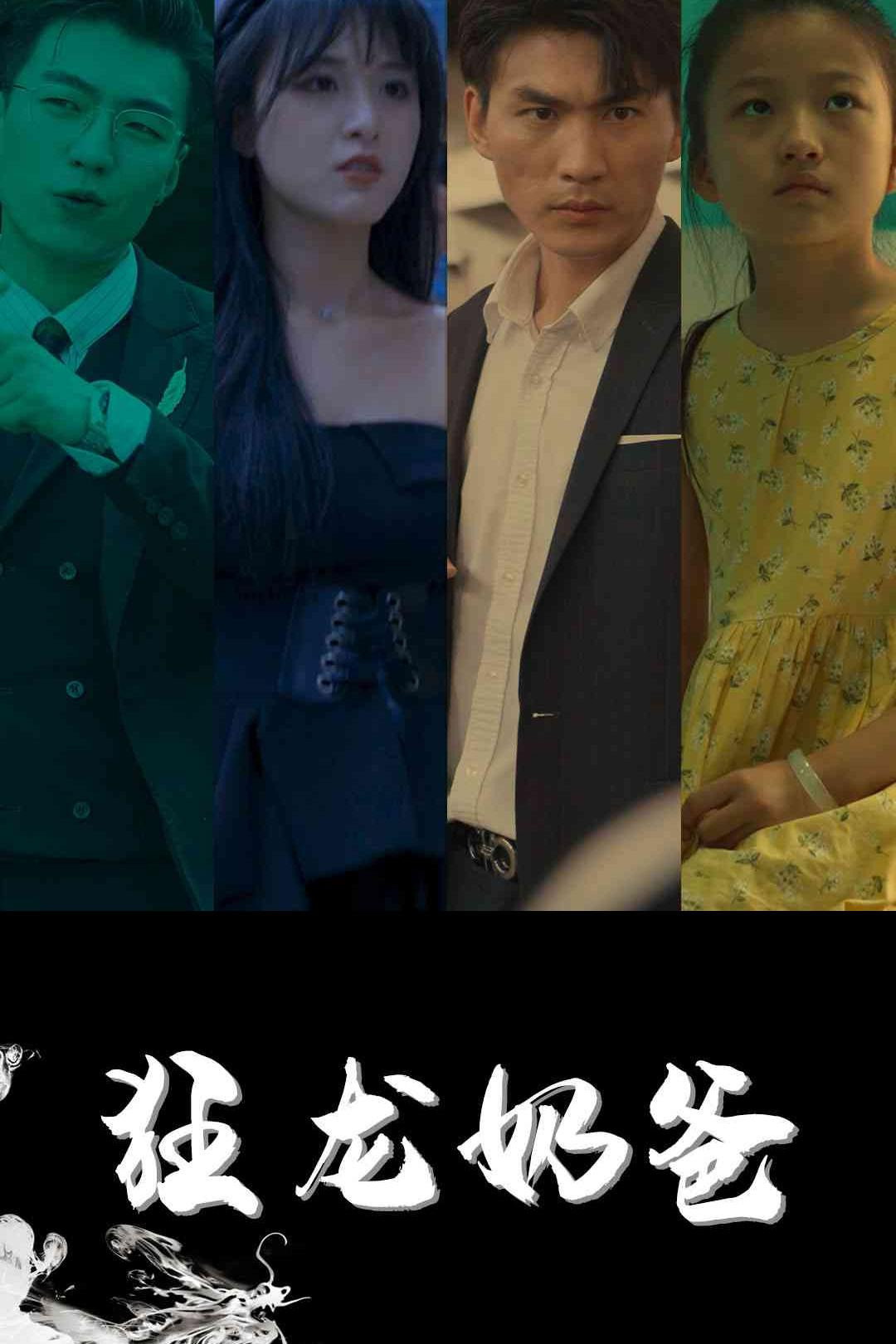 狂龙奶爸 poster