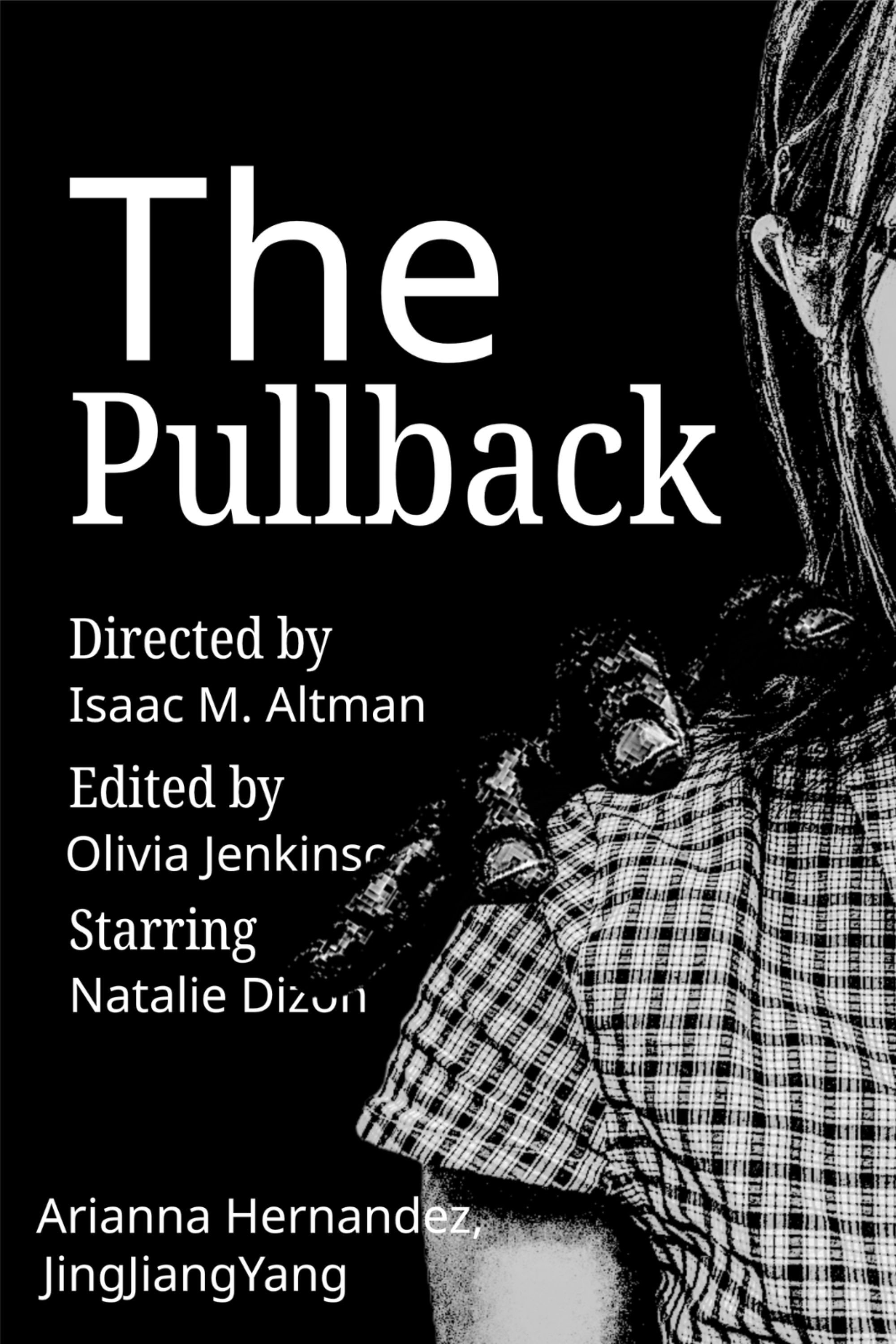 The Pullback poster