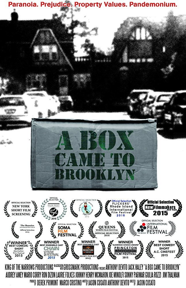A Box Came to Brooklyn poster