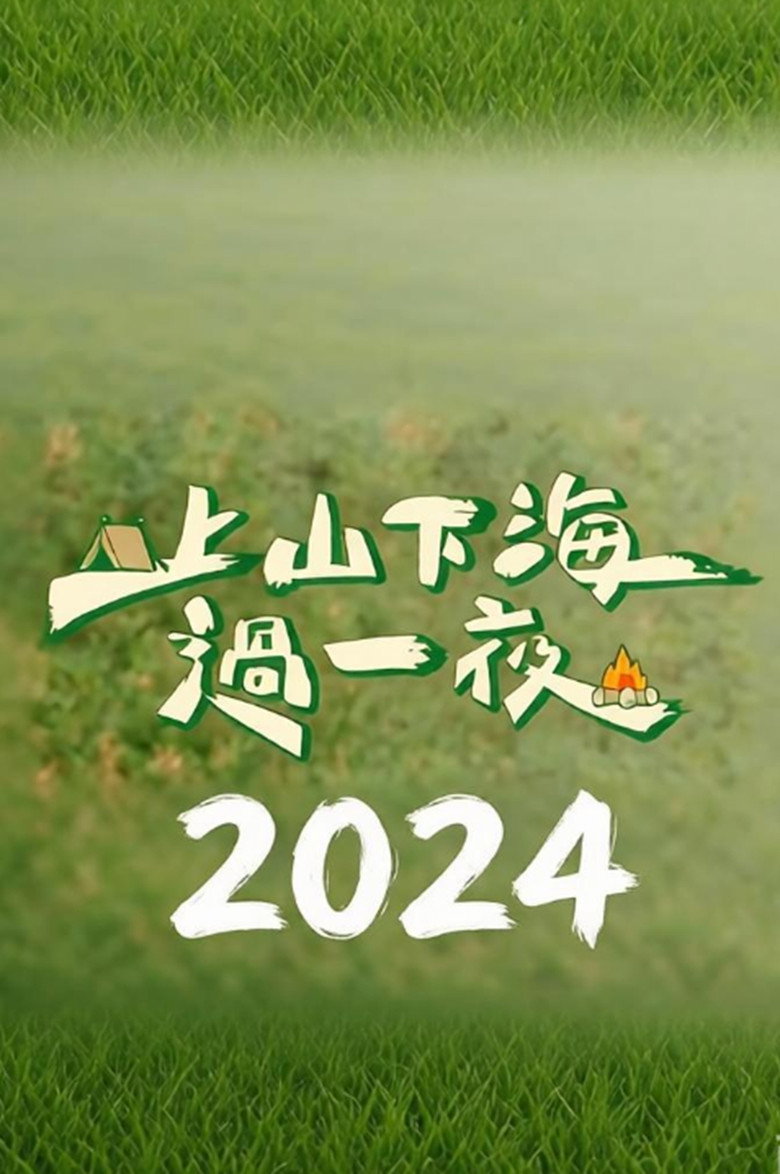 上山下海过一夜(2024) poster