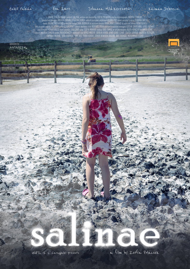 salinae poster