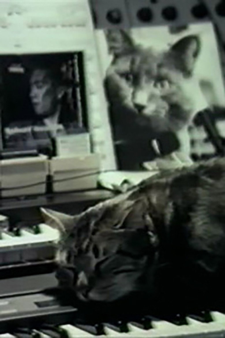 Cat Listening to Music poster