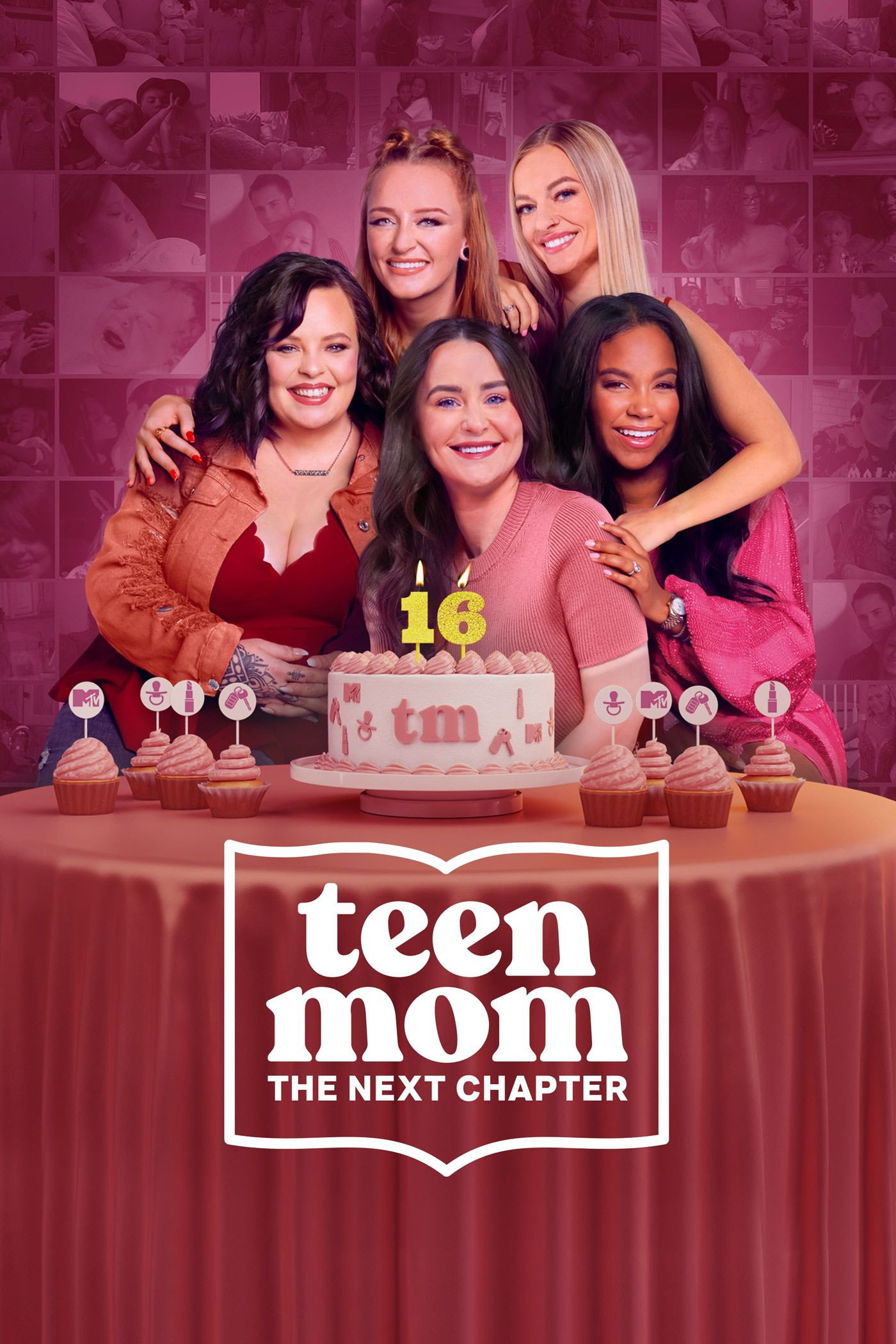 Teen Mom: The Next Chapter poster