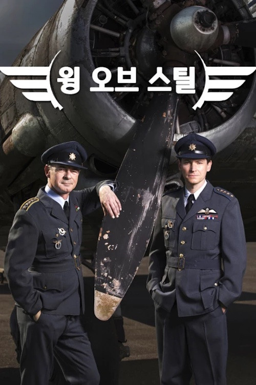 Wings of Steel poster