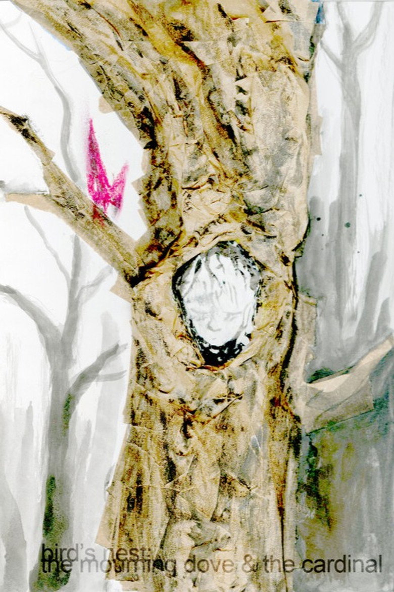 bird's nest (the mourning dove and the cardinal) poster