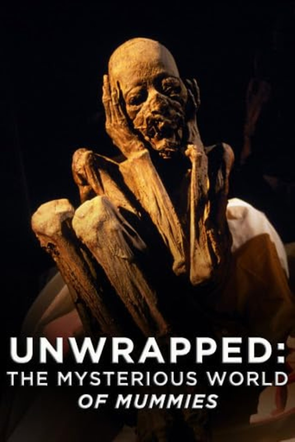 Unwrapped: The Mysterious World of Mummies poster