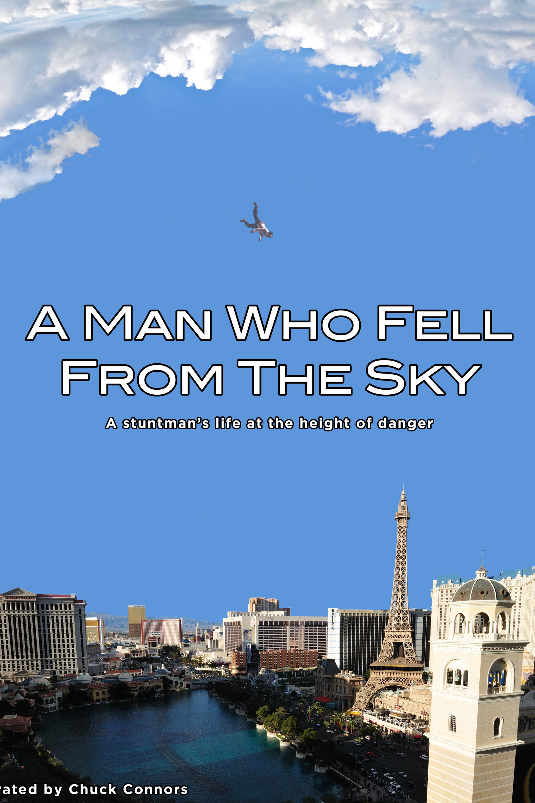 A Man Who Fell From The Sky poster