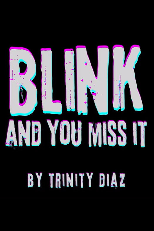 Blink and You Miss It poster