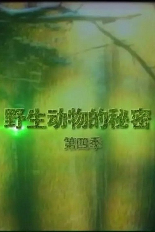 Wild Secrets poster