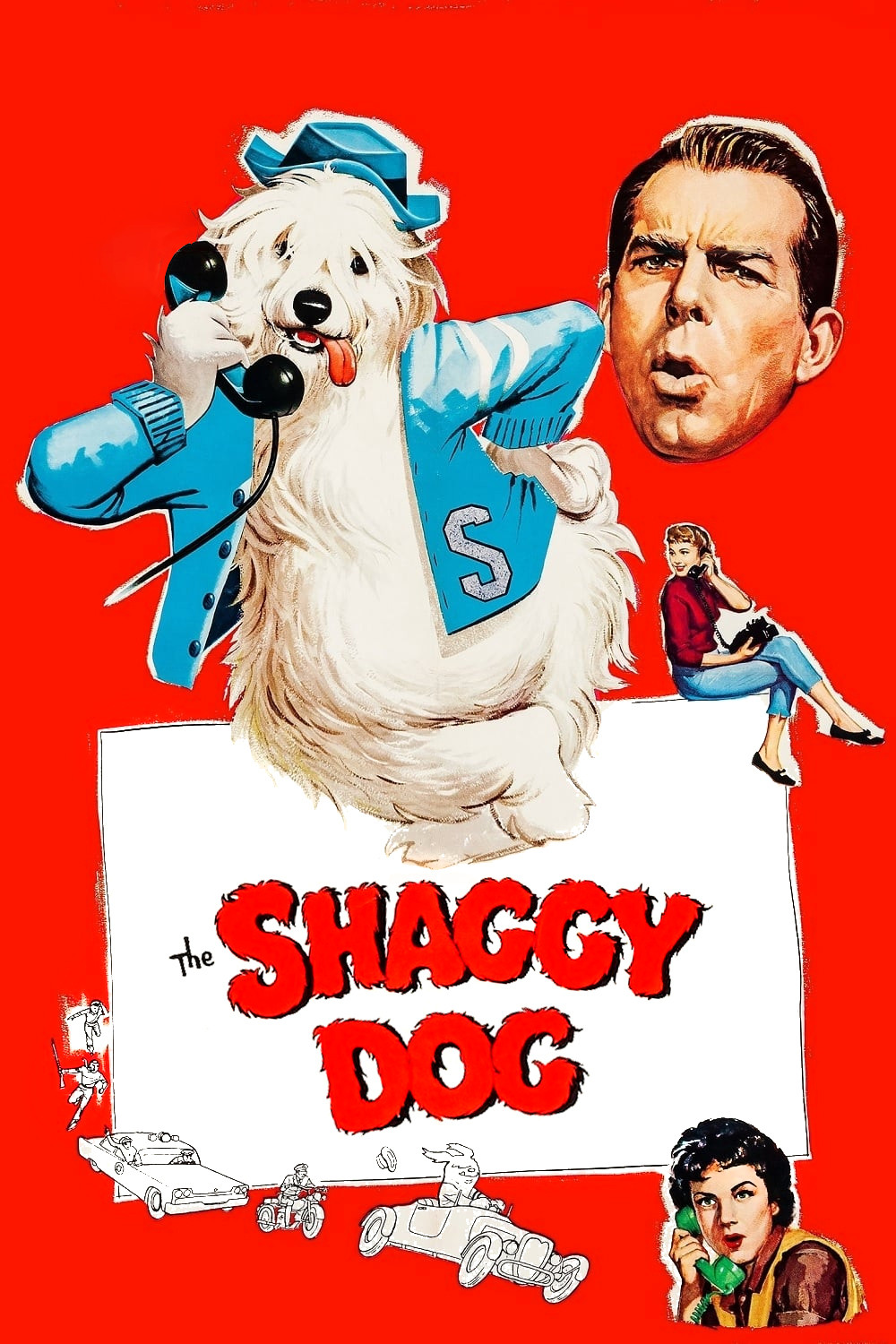The Shaggy Dog poster