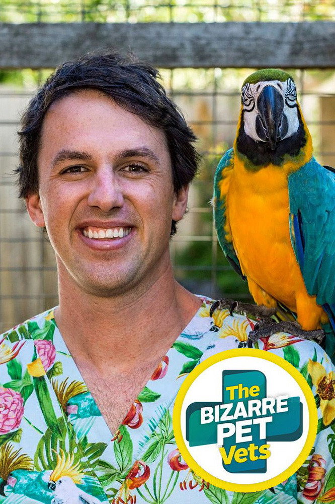The Bizarre Pet Vets poster