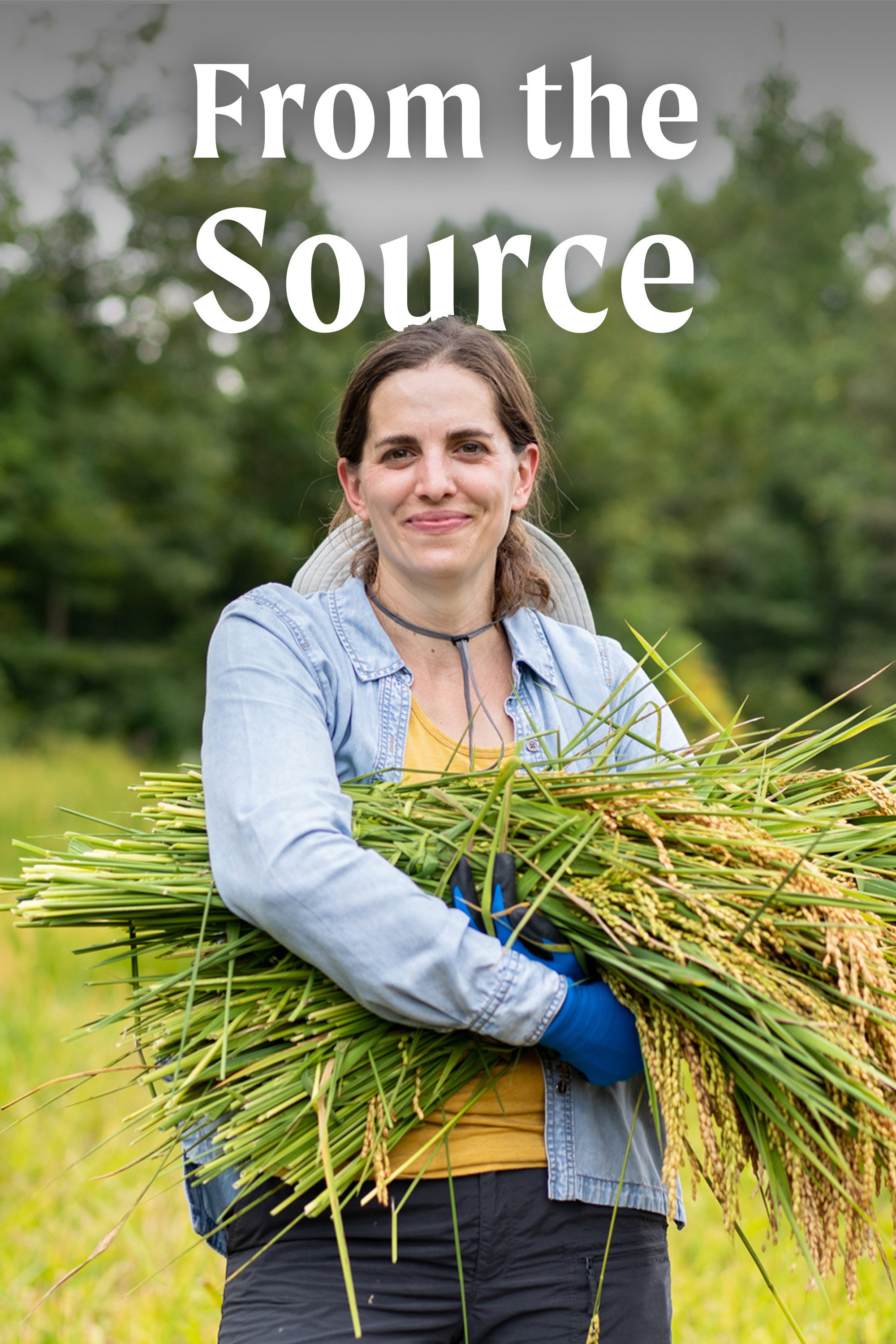 From the Source poster