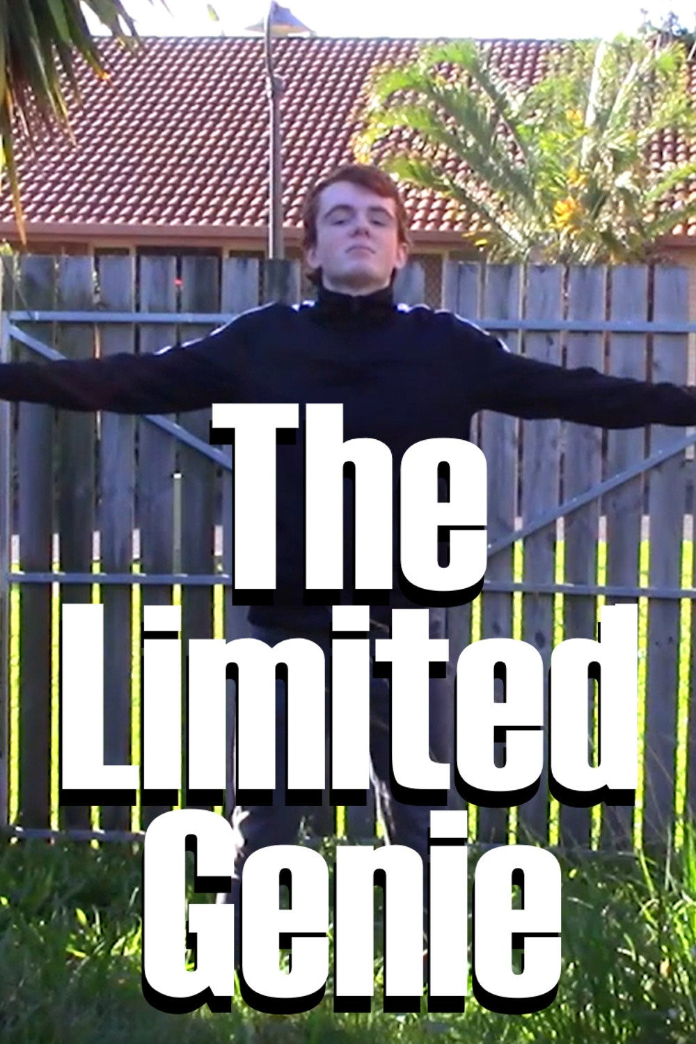 The Limited Genie poster