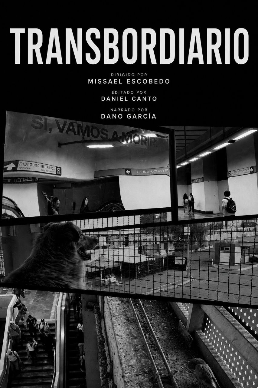 Transbordiario poster