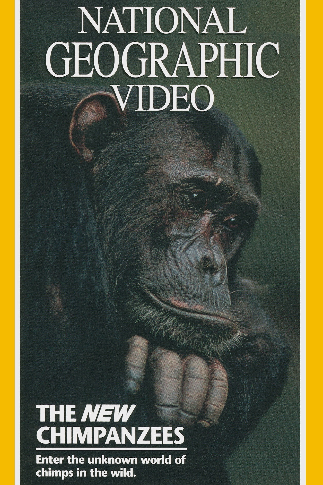 The New Chimpanzees poster