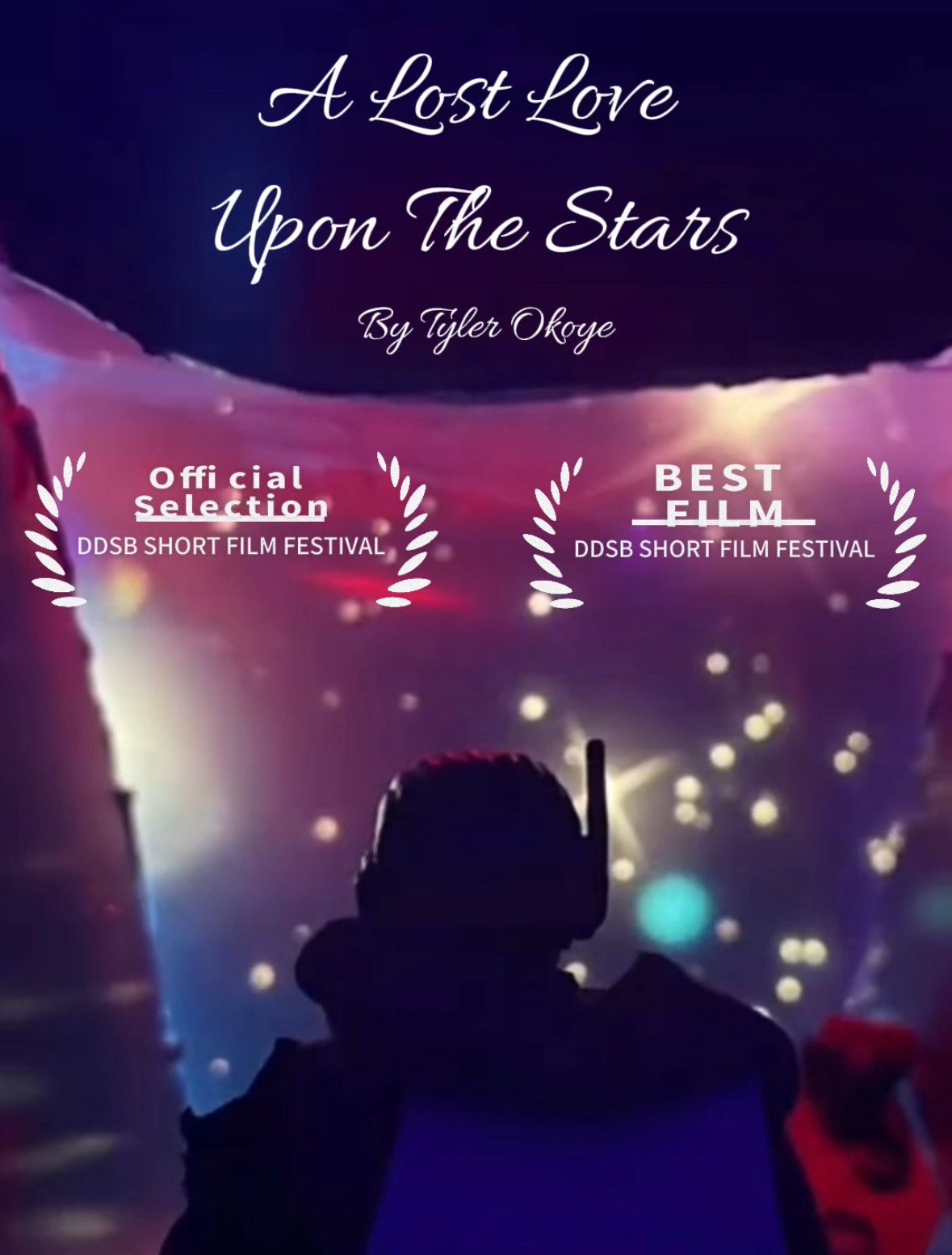 A Lost Love Upon The Stars poster