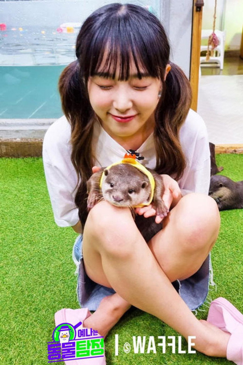 Animal Detective Yena poster