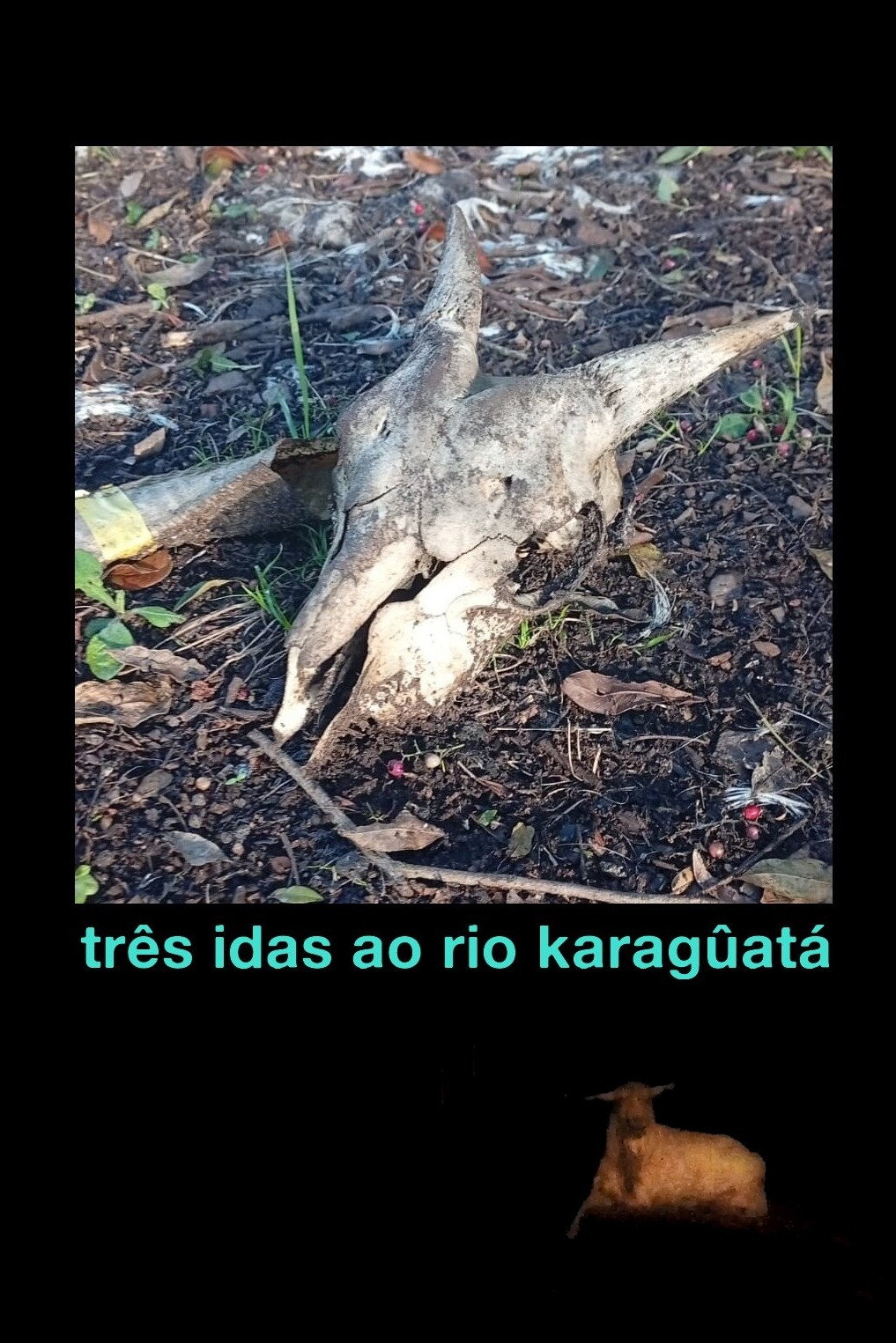 Três idas ao Rio Karagûatá poster