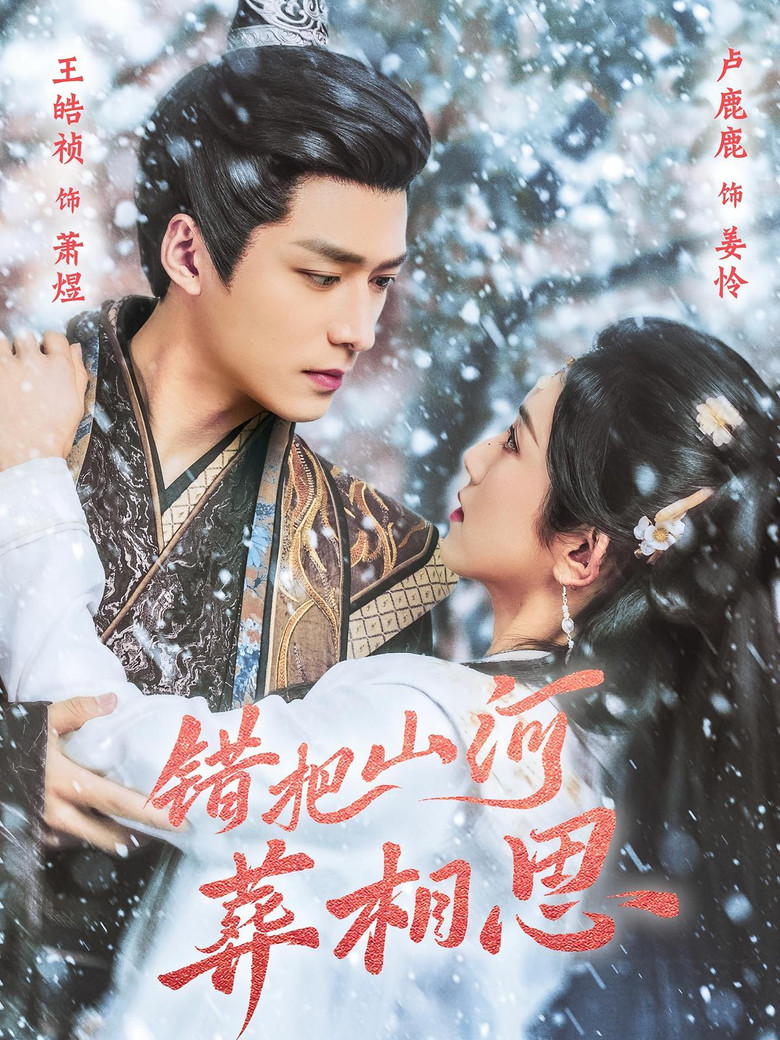错把山河葬相思 poster