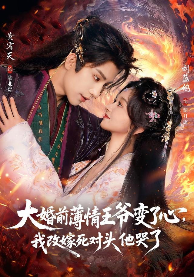 大婚前薄情王爷变了心,我改嫁死对头他哭了 poster